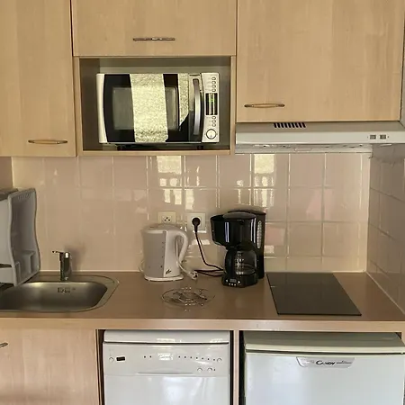 Apartment Cosy Pour 4 A Super-besse Avec Parking - Fr-1-814-178